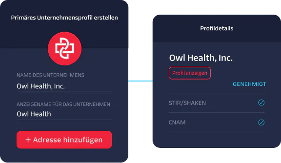 Interface showing the creation and approval status of Owl Health, Inc.'s business profile.