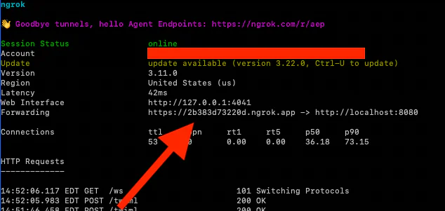 Ngrok terminal displaying service status, online status, update info, and connection endpoints.