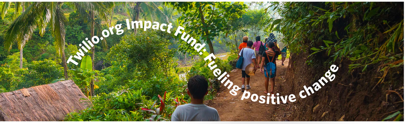 People walking through a rainforest.