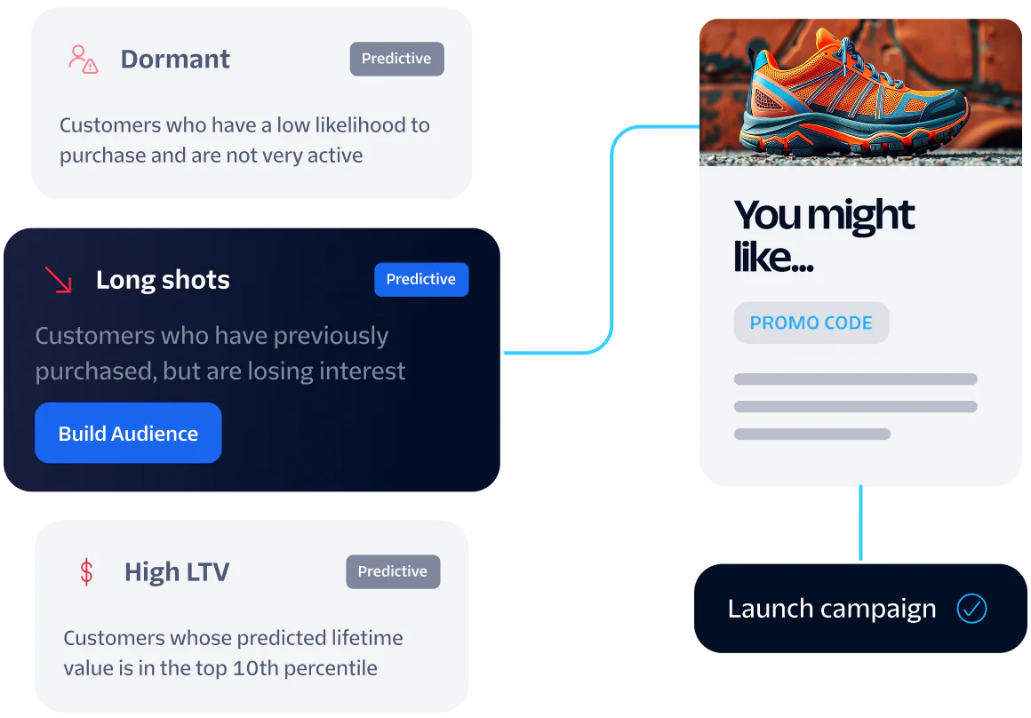 Image showing dormant, long shots, and high LTV customer segments for a targeted marketing campaign.